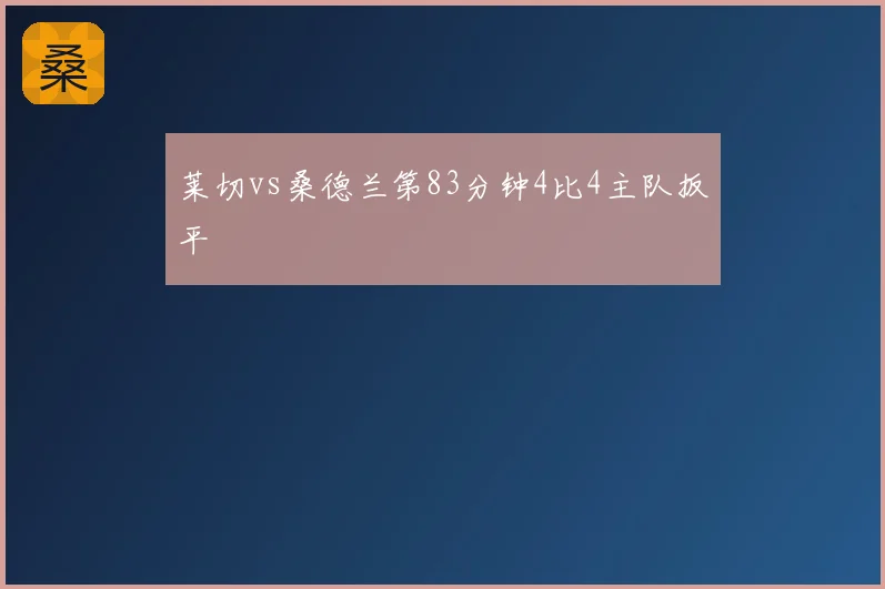 莱切vs桑德兰第83分钟4比4主队扳平